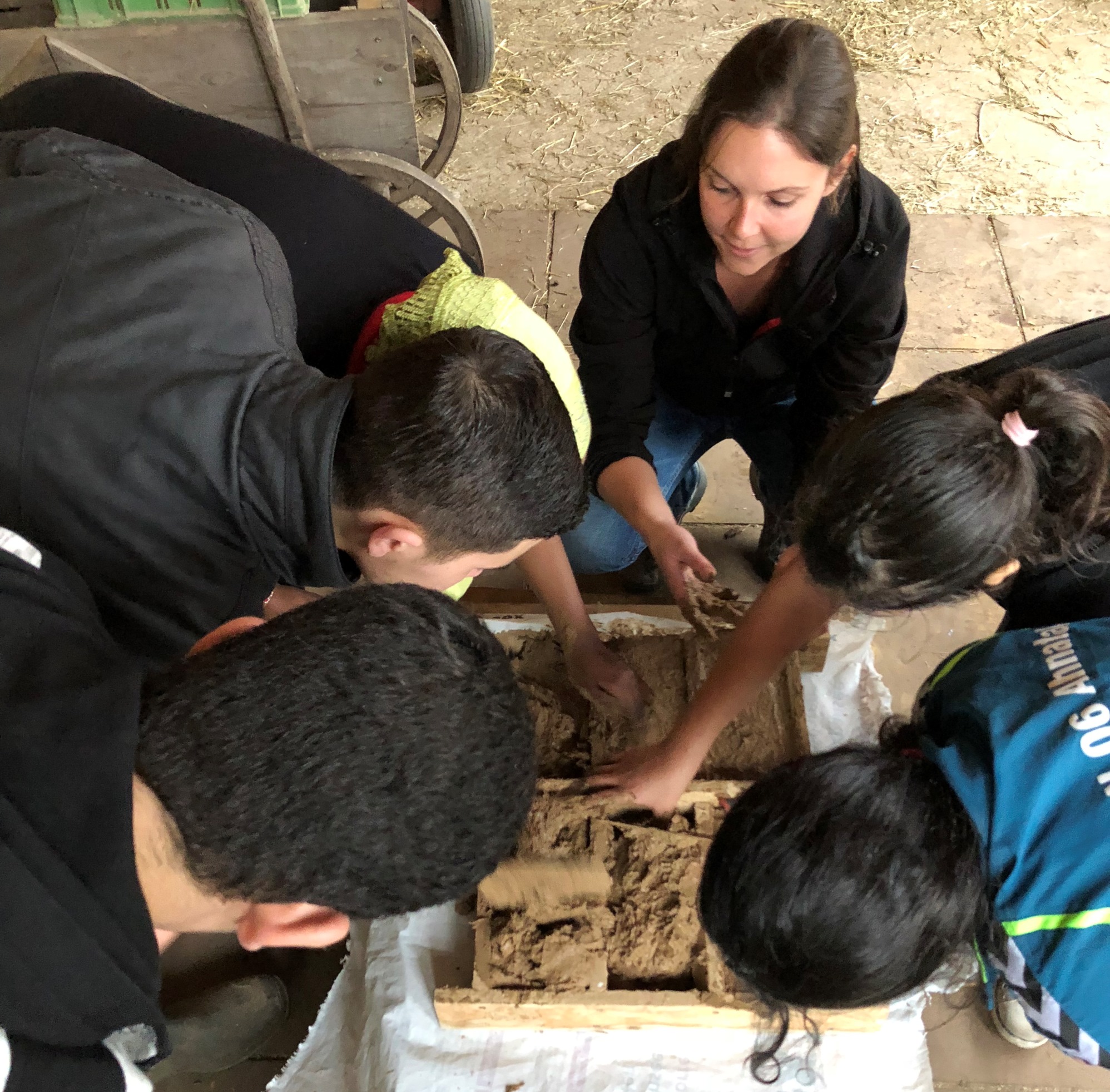 Deutschlernen in Verbindung mit umweltbewussten Bauen auf dem Kasseler Kinderbauernhof